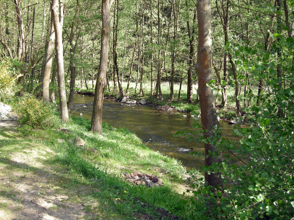 DSCN2416.JPG