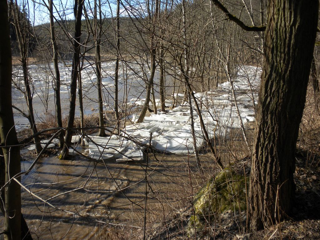 2012 02 25 001 Loučka 1