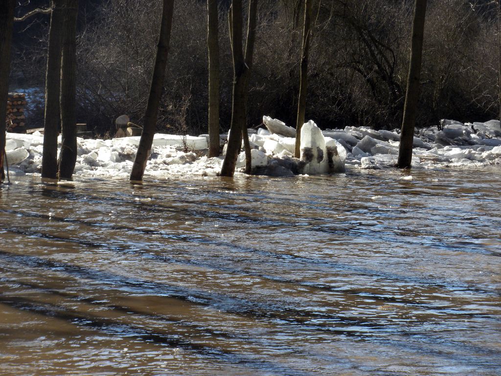 2012 02 25 005 Loučka 1