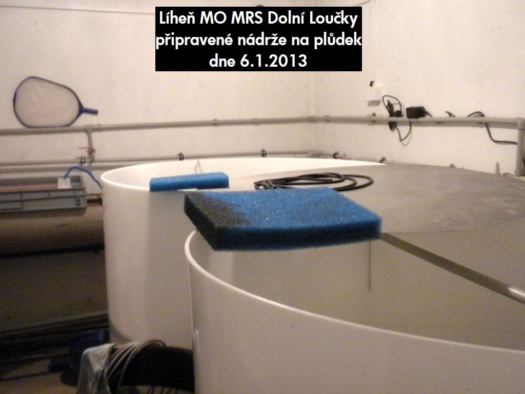 Líheň MO MRS Dolní Loučky - dne 6.1.2013 05